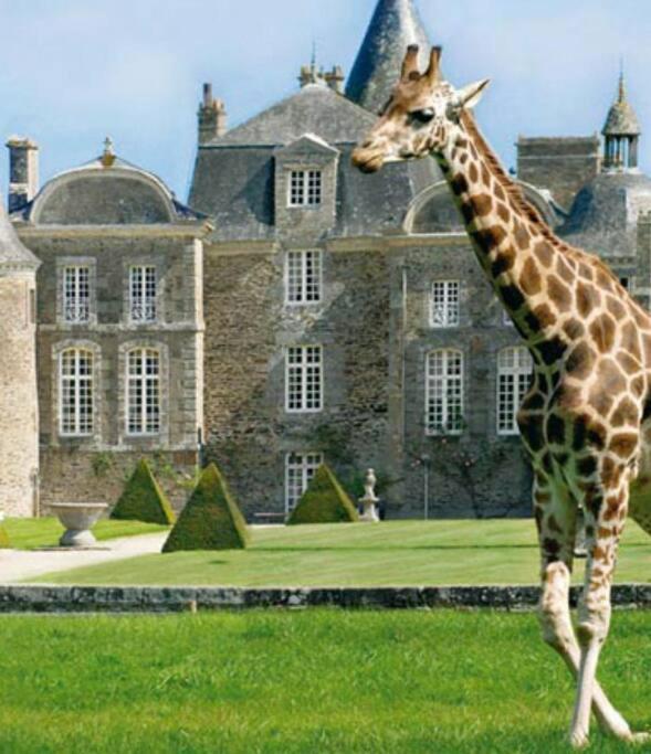 La Baie Du Mont Appartement De Vacances Proche Du Mont Saint Michel Roz-sur-Couesnon Ngoại thất bức ảnh